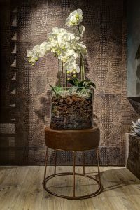 Jolanda Maurix | JOXAL interieur | Wandbekleding | Alphenberg